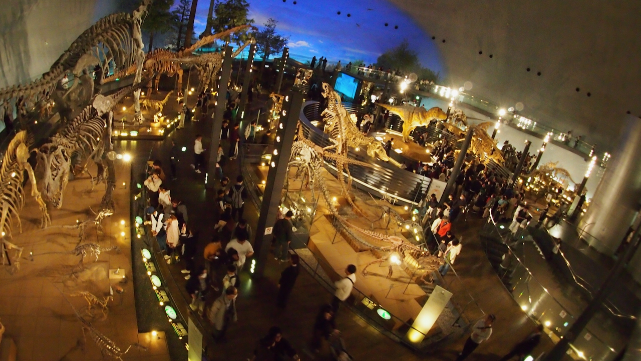 fdpmというそうです