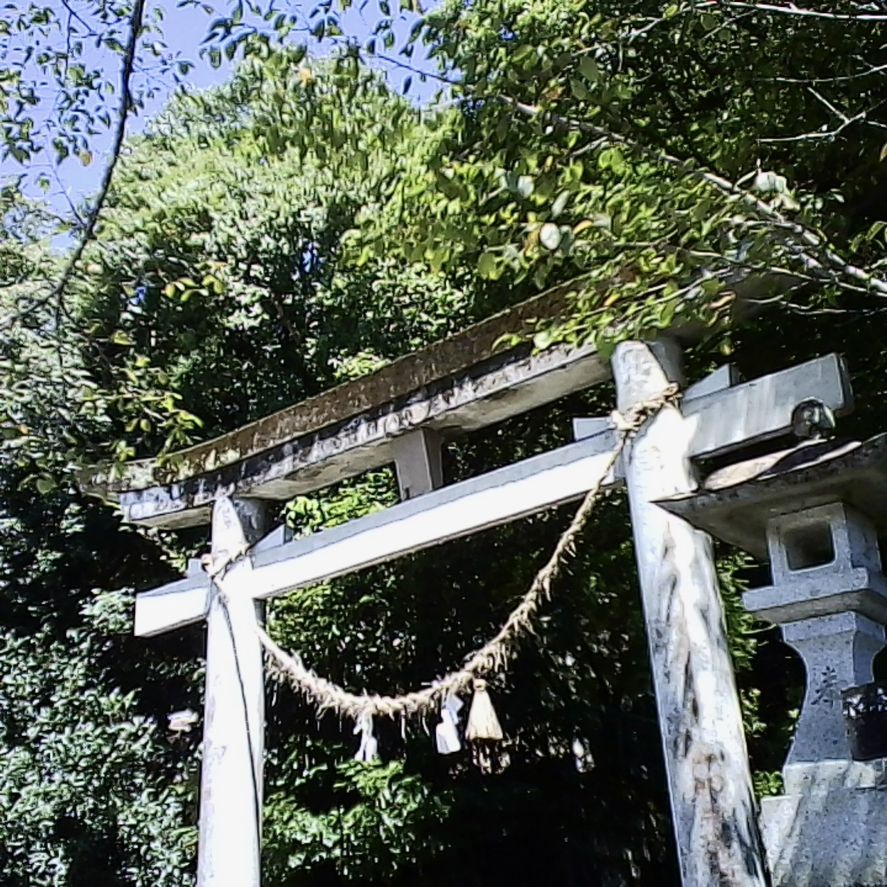 土俵はなくなってました